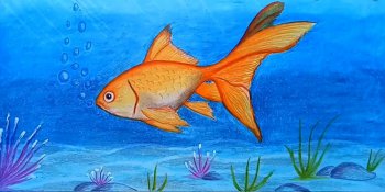 آموزش نقاشی ماهی قرمز با پاستل