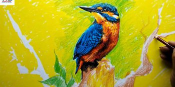 آموزش نقاشی پرنده زیبا با مدادرنگی و ماژیک