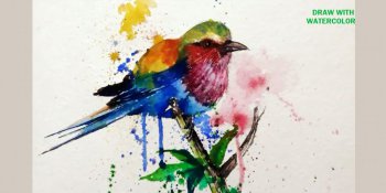 نقاشی پرنده با آبرنگ