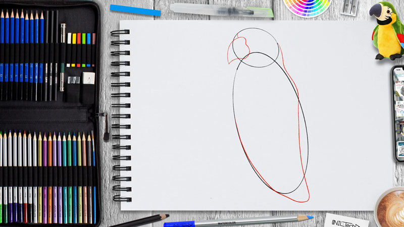 نقاشی طوطی آسان