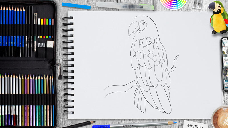 نقاشی طوطی با مداد رنگی