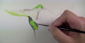 رنگ آمیزی یک پرنده با گواش