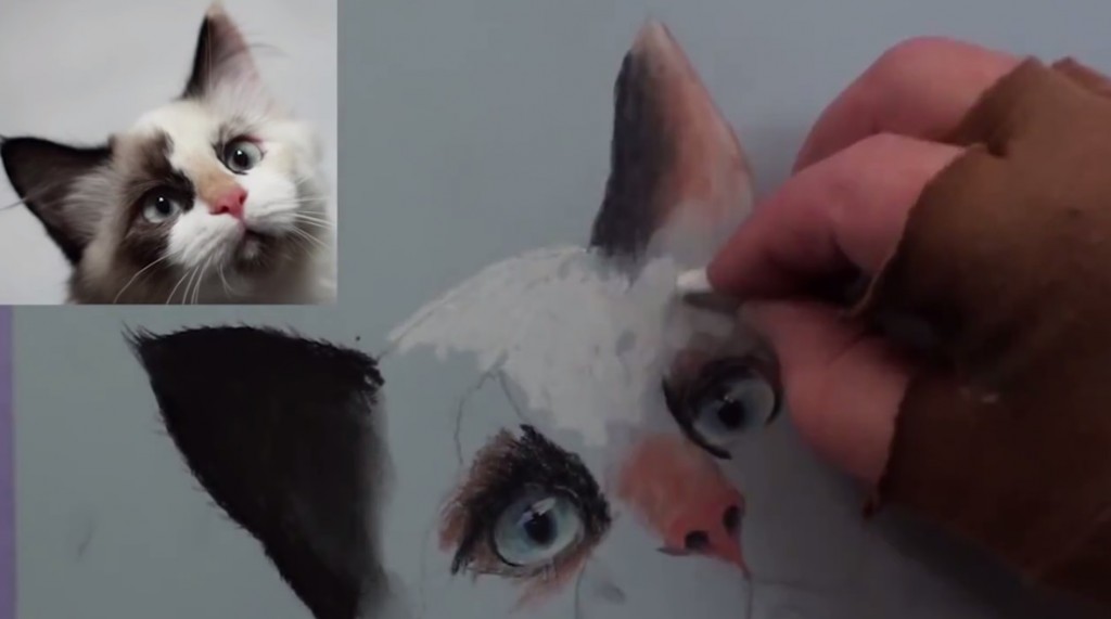 نقاشی چهره گربه با پاستل