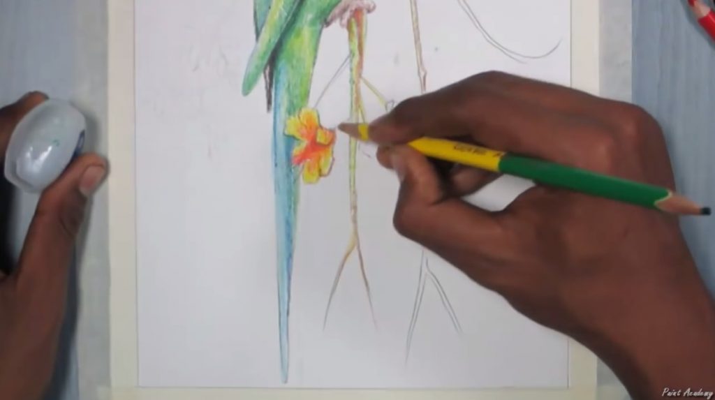 نقاشی طوطی