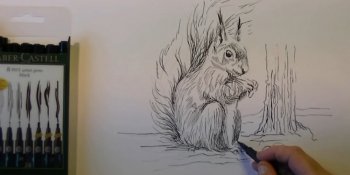آموزش طراحی سنجاب با مداد و راپید