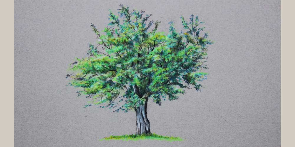 نقاشی درخت با مداد رنگی